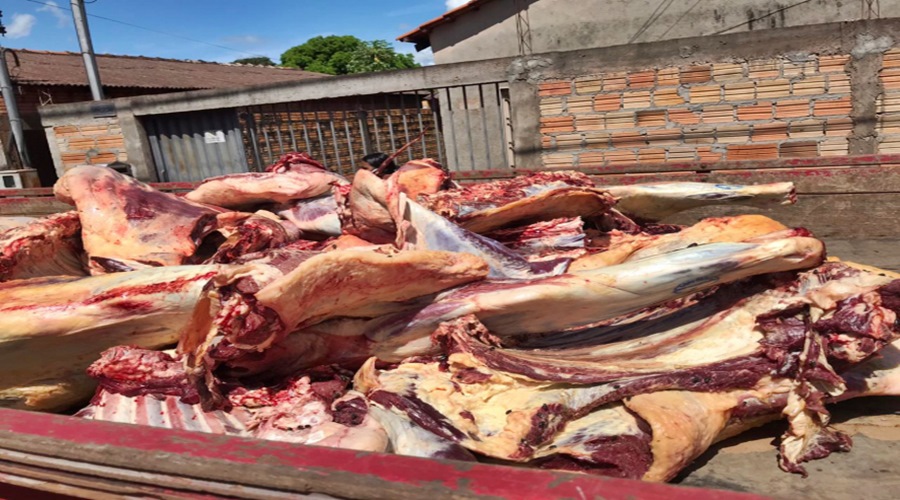 PM e vigilância sanitária apreendem carne com varejeiras no momento da entrega em MT 1