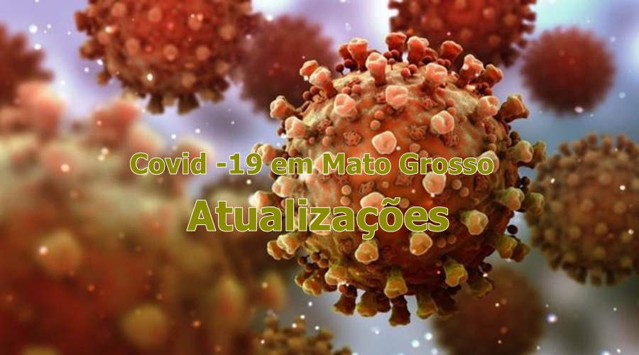 Segunda-feira (28): Mato Grosso registra 449.566 casos e 11.964 óbitos por Covid-19 1