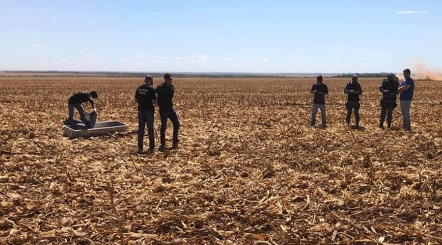 Cadáver de um homem em decomposição foi encontrado na tarde desta quinta-feira em uma fazenda as margens da MT 130 1