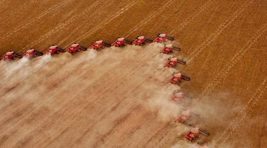 Novo levantamento deve consolidar hegemonia de MT na produção agrícola do país 1