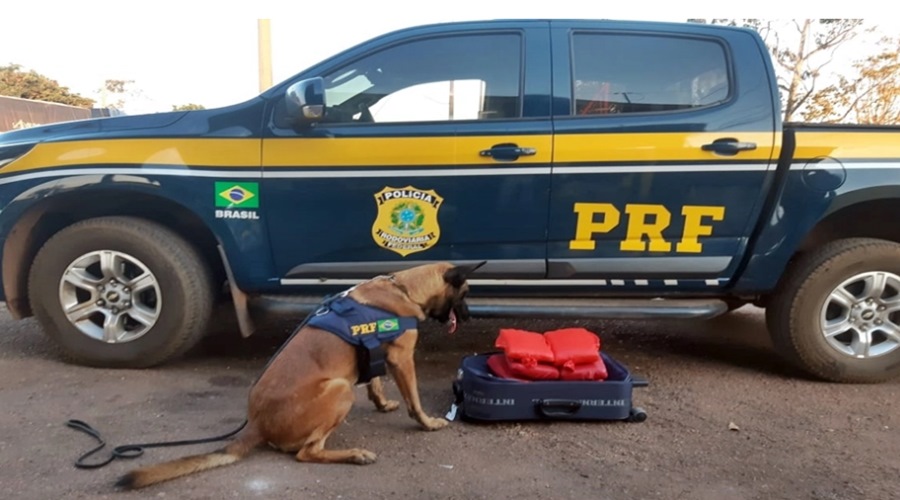 Mulher de 20 anos é presa pela PRF em Rondonópolis com 6 Kg de maconha dentro de mala 1