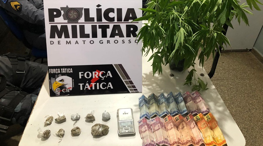 FT prende mulher e apreende menor por tráfico de drogas e encontra pés de maconha em residência 1