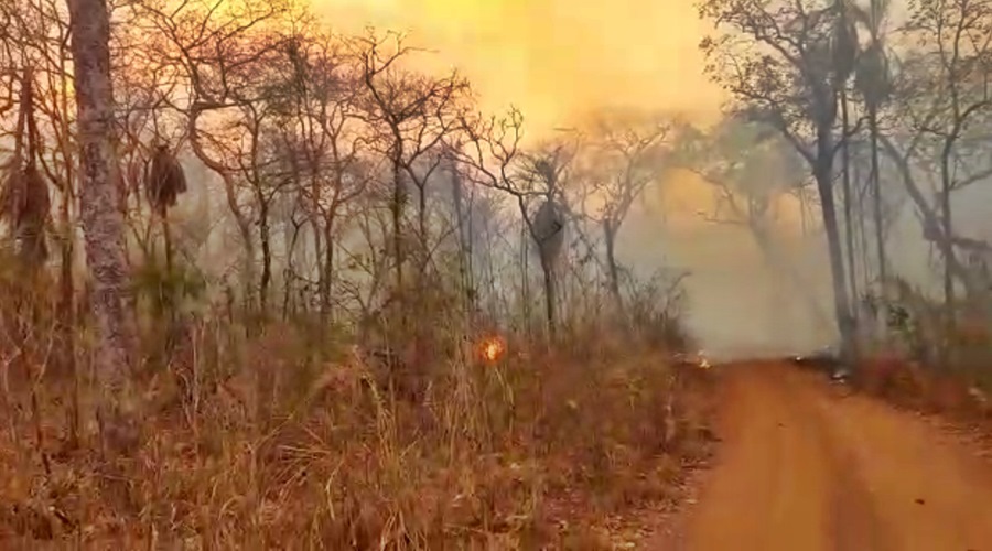 Fogo em vegetação se alastra e coloca em risco aldeias indígenas as margens do Rio Vermelho e Tadarimana 1