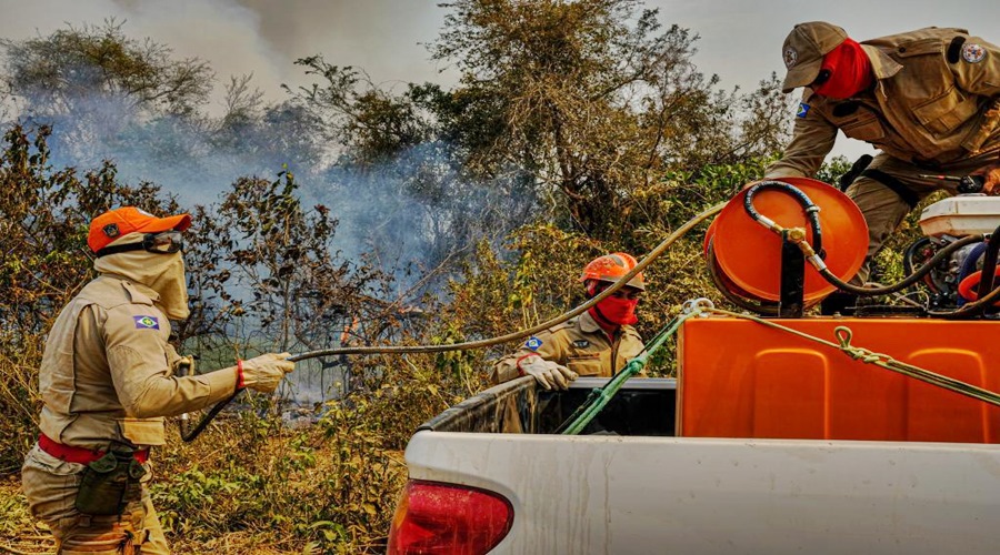 Focos de incêndio no Pantanal mato-grossense reduzem em 80%; Governo continua com operação na região 1