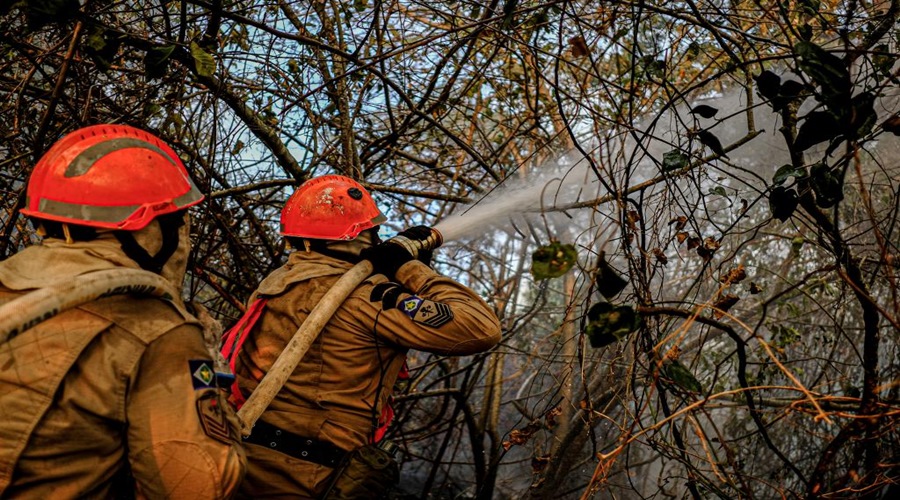 Mato Grosso receberá 43 militares da Força Nacional para combate aos incêndios florestais 1