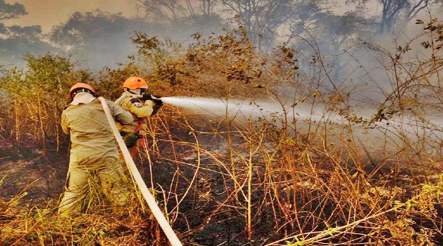 Delegacia de Meio Ambiente busca responsáveis pelos incêndios no Pantanal 1