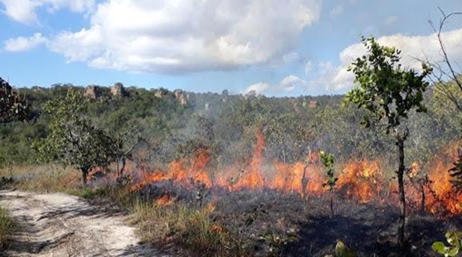 Contrafogo: bombeiros militares alertam para os riscos do uso indevido de técnicas de combate a incêndios florestais 1