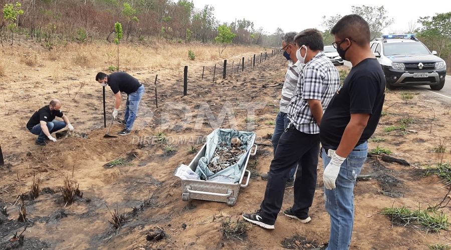 Ossada humana é encontrada as margens da Rodovia do Peixe em Rondonópolis 1