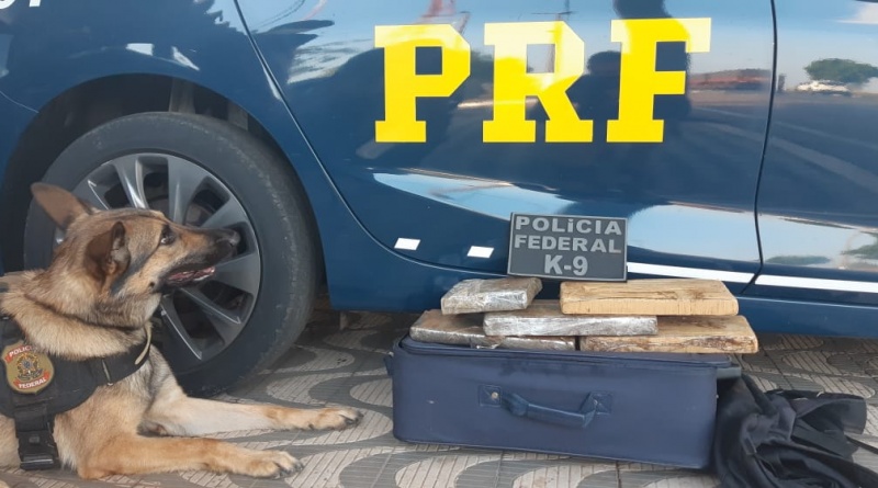 Mais uma ação conjunta entre a PRF e PF, resulta em apreensão de droga em Rondonópolis/MT 1