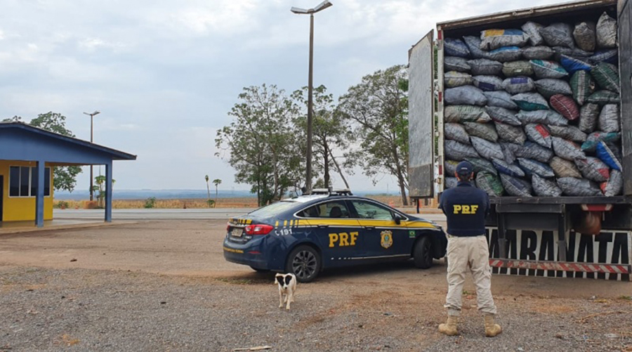 PRF apreende carga de carvão, com reaproveitamento de Guia Florestal e Nota Fiscal, em Sorriso/MT 1