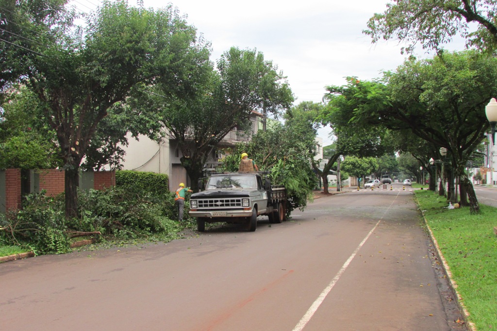 Semma abre inscrições gratuitas para curso de poda e arborização urbana 1