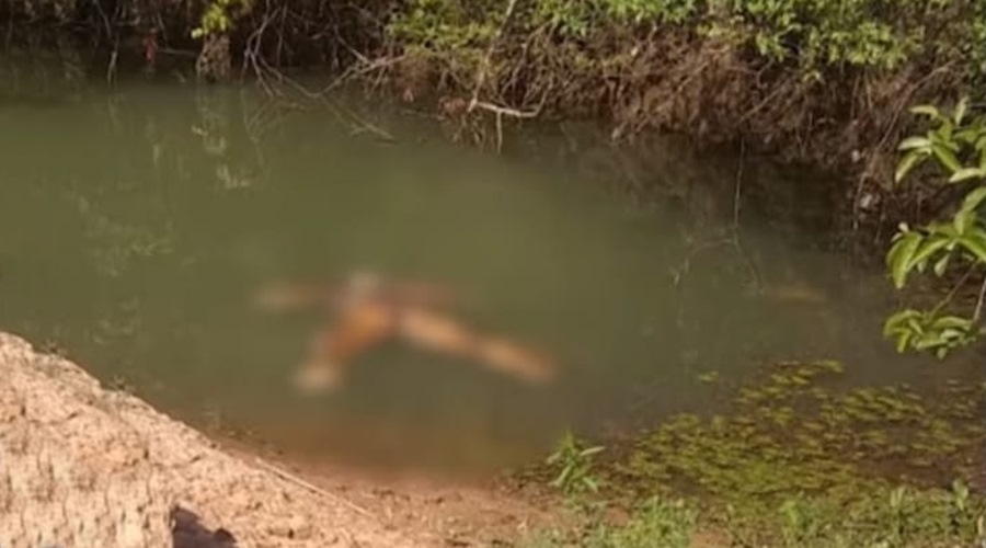 Cadáver de mulher em estado de decomposição e sem cabeça é localizado em lago em VG 1