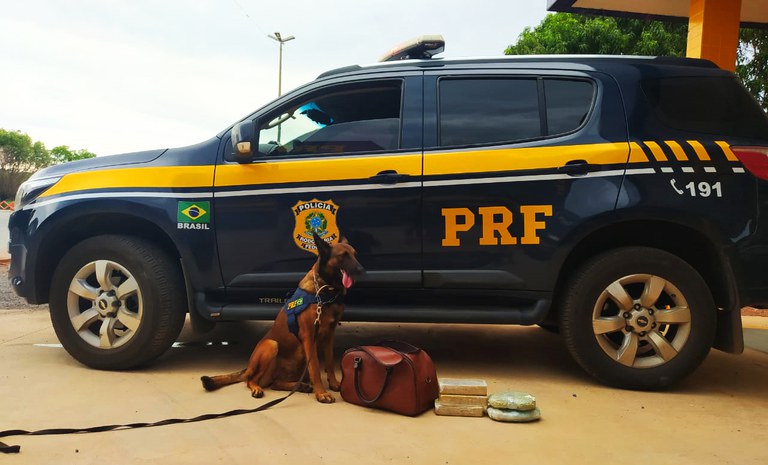 PRF prende mulher que transportava drogas em ônibus interestadual 1