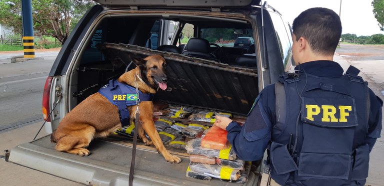 PRF apreende 40 Kg de Skunk escondido em compartimento oculto 1