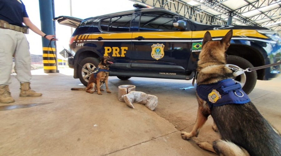 PRF prende duas estrangeiras transportando cocaína em ônibus, em Mato Grosso 1