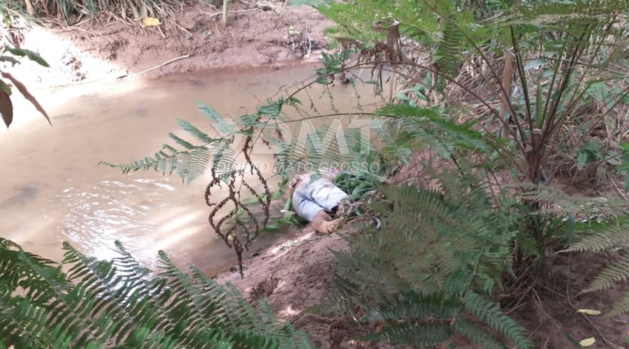 Corpo com marcas de tiros na cabeça é localizado na região do assentamento Carimã em Rondonópolis 1