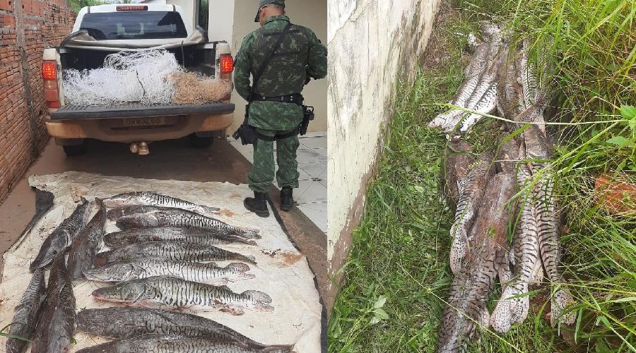 Homem tenta fugir, mas é pego com 112 quilos de pescado em Rondonópolis 1