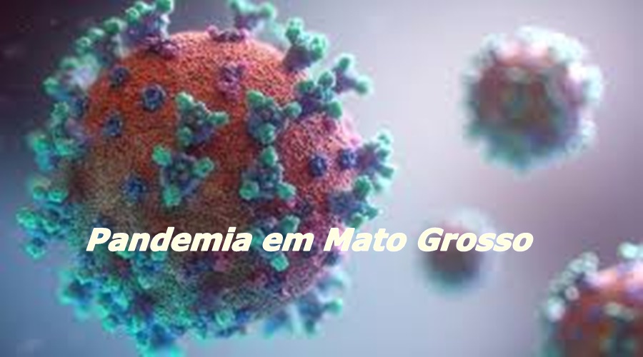 Segunda-feira (25): Mato Grosso registra 545.526 casos e 13.915 óbitos por Covid-19 1