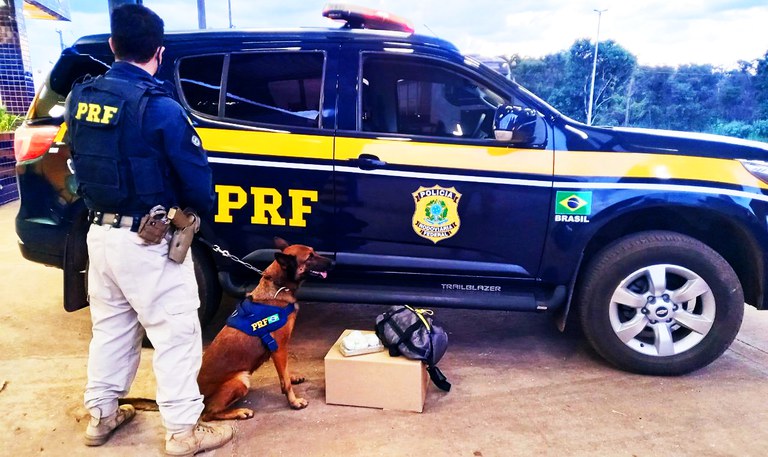 PRF prende homem transportando droga dentro de ônibus interestadual 1