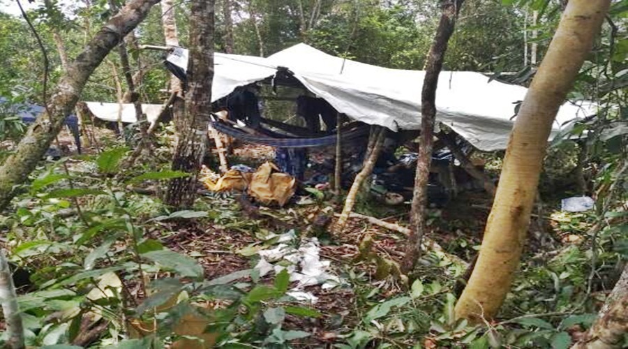 Garimpeiros invadem fazenda em MT em busca de ouro após boatos nas redes sociais 1