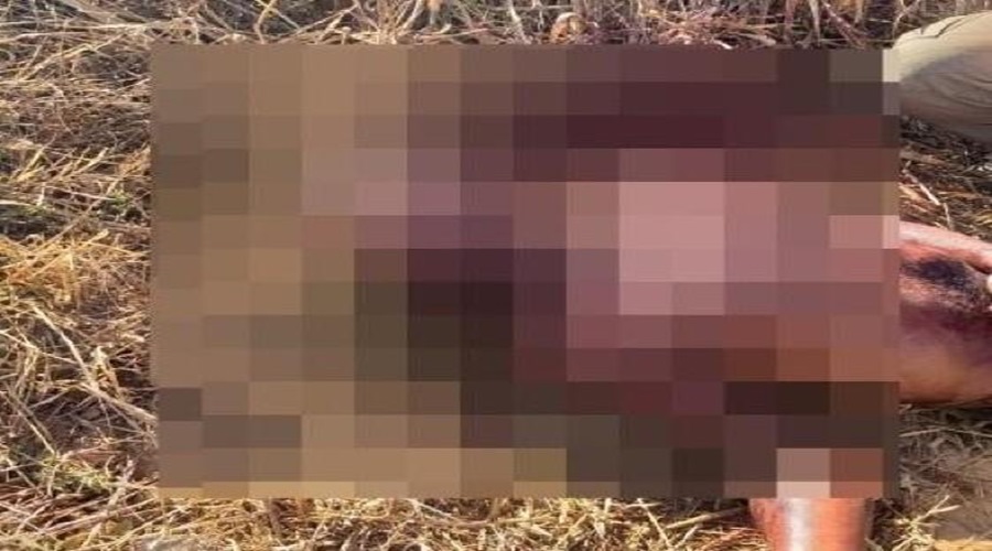 Rapaz de 23 anos é encontrado morto em região rural no interior de MTcom a cabeça toda quebrada 1