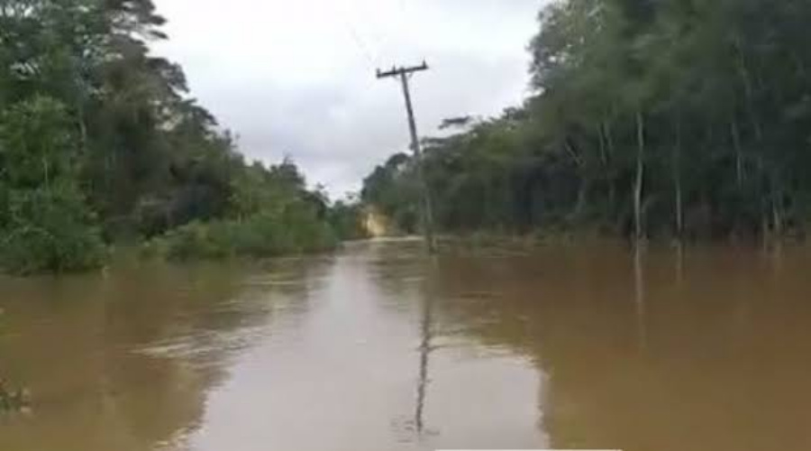 Garoto de 15 anos morre após se afogar durante banho de rio em Tesouro 1