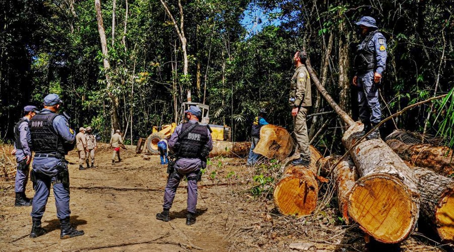 Mato Grosso já aplicou R$ 620 milhões em multas ambientais e endurece medidas contra infratores 1