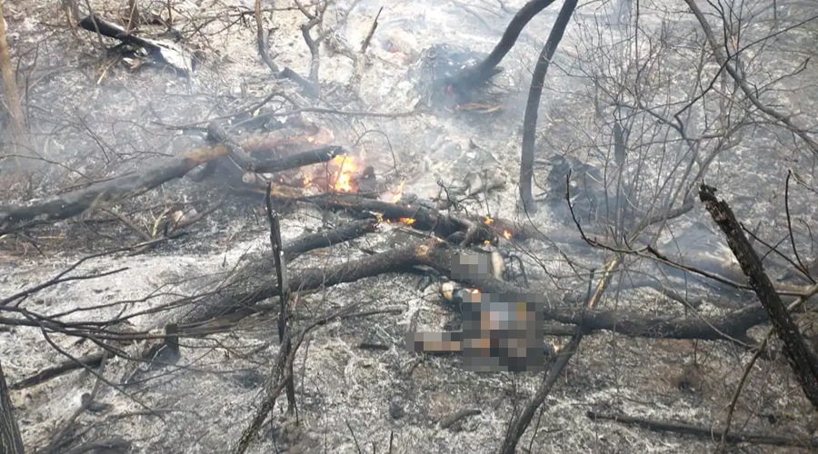 Avião cai na Rodovia do Peixe em Rondonópolis e deixa quatro vítimas carbonizadas 1