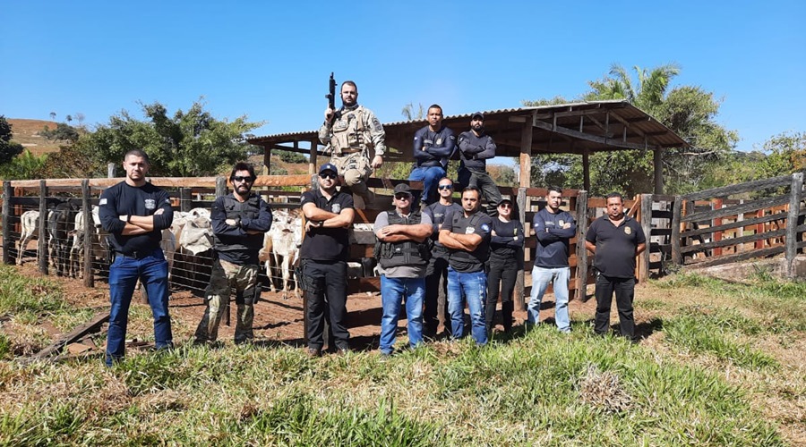 Receptador é preso em operação contra associação criminosa envolvida com furto e receptação de gado 1