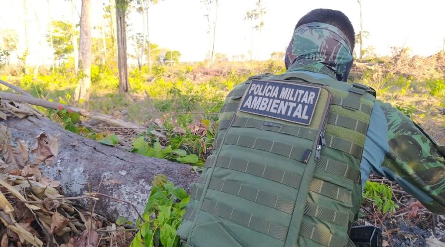 Polícia Ambiental prende proprietário de área rural por desmate e posse ilegal de arma no interior 1