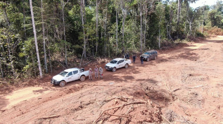 Corpo de Bombeiros aplica multa de R$ 2,6 milhões por desmatamento com uso irregular do fogo 1