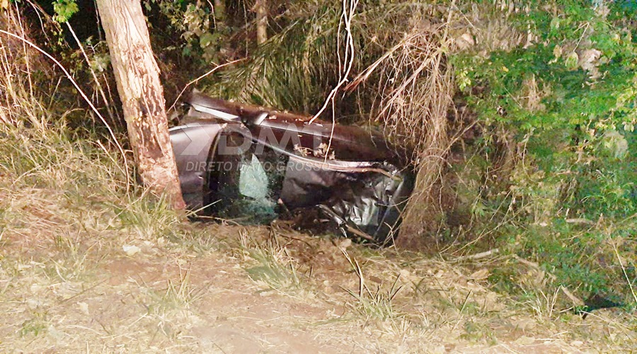 Ex vereador de Pedra Preta e idoso morrem após carro bater em anta e colidir em árvore na BR 364 1