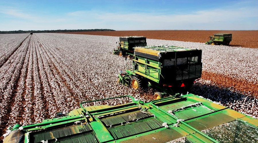 Mato Grosso divulga suas potencialidades na 45ª Expocruz 1