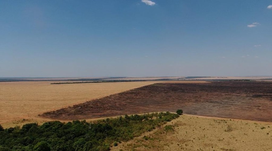 Bombeiros multam Sete fazendas em cerca de R$ 3,4 milhões por uso de fogo durante período proibitivo 1