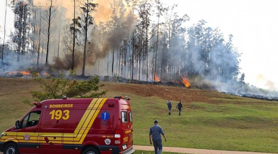 Aeronave de pequeno porte explode ao cair em área de mata no interior de SP e sete pessoas morrem 1