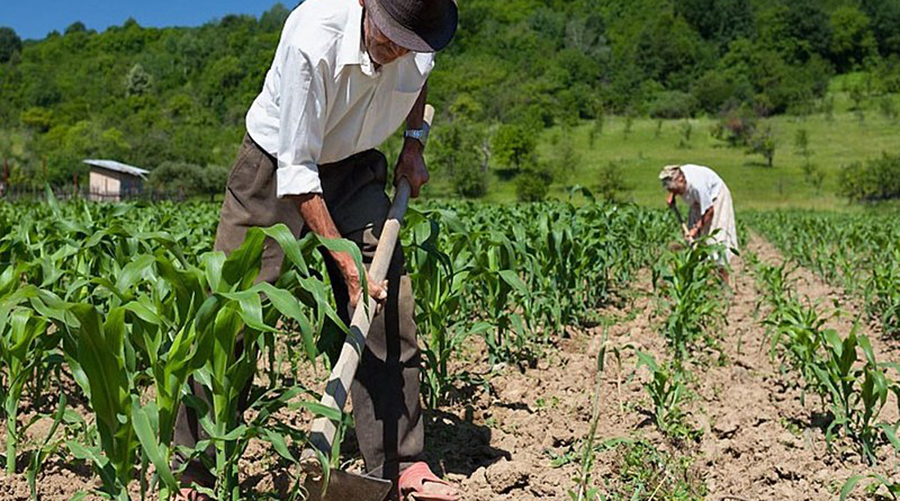 Aposentadoria rural após a reforma da previdência. 1