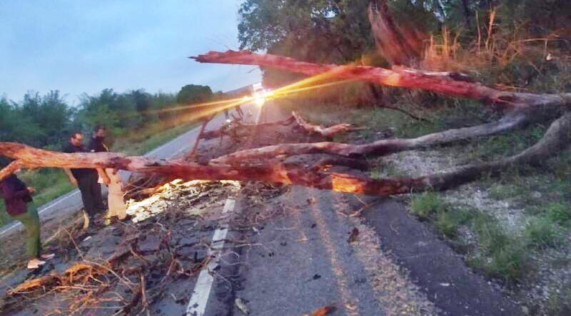 Motociclista bate em árvore caída na pista e tem morte instantânea no interior de MT 1