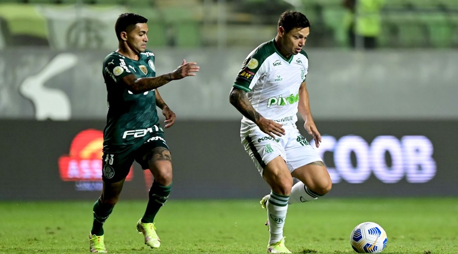 Palmeiras perde para América-MG e cai para terceiro no Brasileiro 1