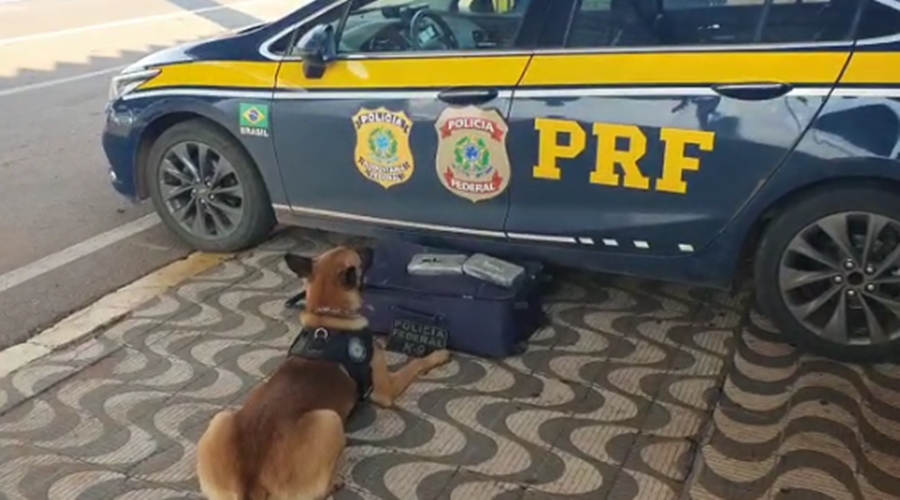 PRF prende homem morador de Goiânia por tráfico de drogas na BR 364 em Rondonópolis 1