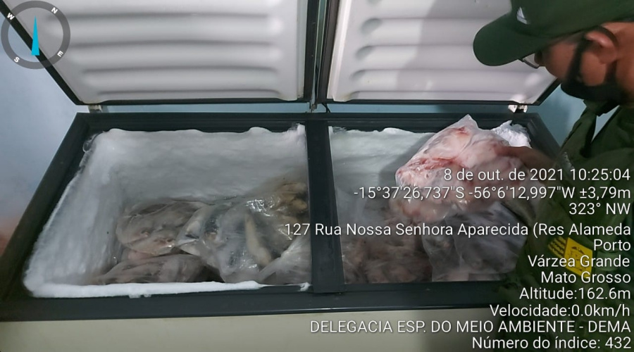 Polícia Civil e Sema apreendem quase 400 kg de pescado sem procedência em Várzea Grande 1