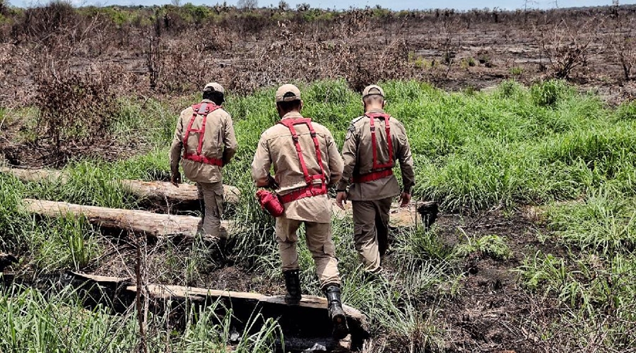 Operação Abafa Araguaia aplica R$ 5,7 milhões em multas 1