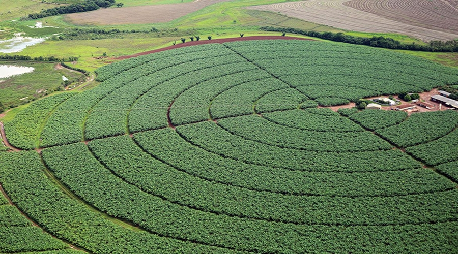 Governo publica novas regras para registro de defensivos agrícolas 1