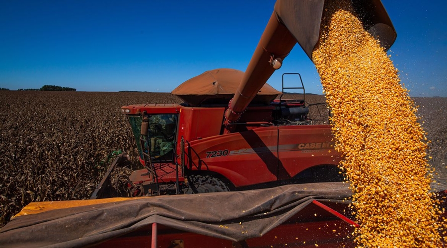 Balança comercial tem superávit de US$ 1,102 bi no início de outubro 1