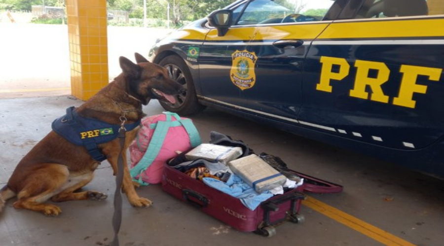 Mulher é presa pela PRF com 2 kg de cocaína em ônibus interestadual, em Cuiabá/MT 1