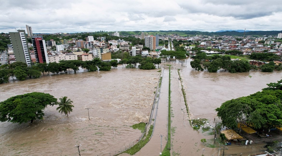 Defesa Civil registra 20 mortos e 31 mil desabrigados por chuvas na BA 1