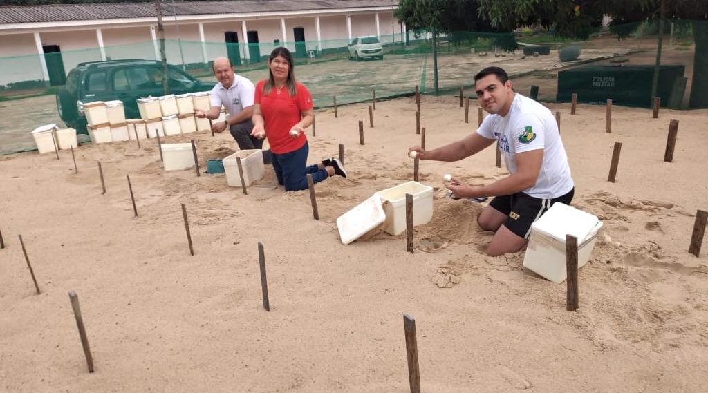 Mais de 200 mil tartarugas já foram soltas no Araguaia pelo projeto "Amigos da Natureza" 1