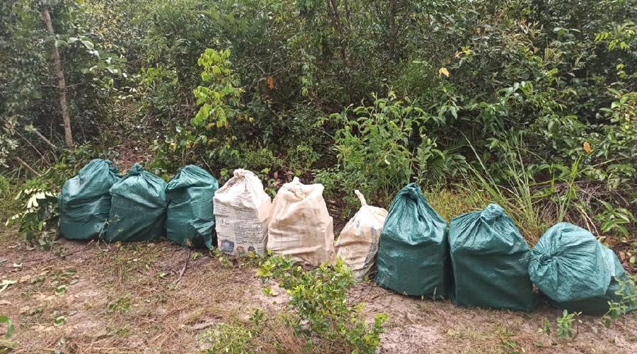 Policiais prendem quadrilha com 270 kg de cocaína 1