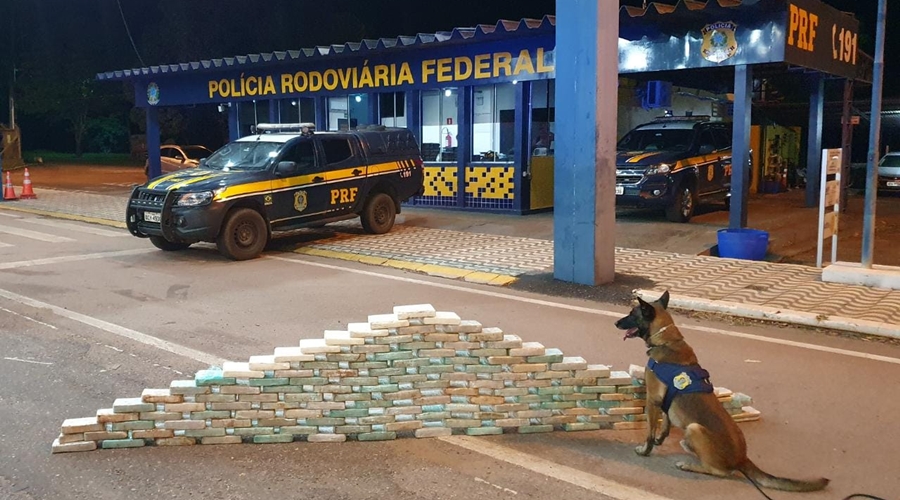 Com apoio de cão farejador PRF apreende cerca de 145 tabletes de pasta base de cocaína em Rondonópolis 1