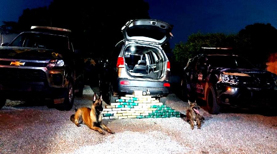 Com o apoio de cães farejadores do Gefron PM prende indivíduo com 67 kg de pasta base em Cáceres 1