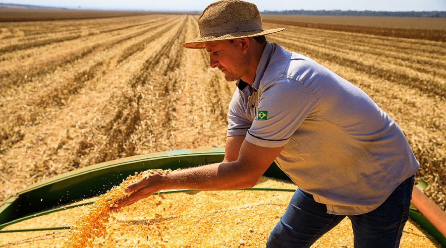 Por 4 anos consecutivos MT lidera produção agropecuária brasileira 1